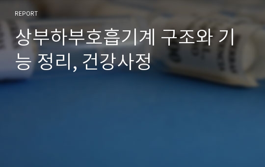 상부하부호흡기계 구조와 기능 정리, 건강사정