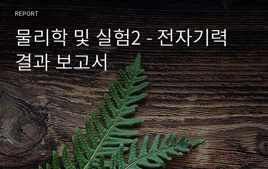 물리학 및 실험2 - 전자기력 결과 보고서