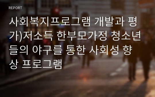 사회복지프로그램 개발과 평가)저소득 한부모가정 청소년들의 야구를 통한 사회성 향상 프로그램