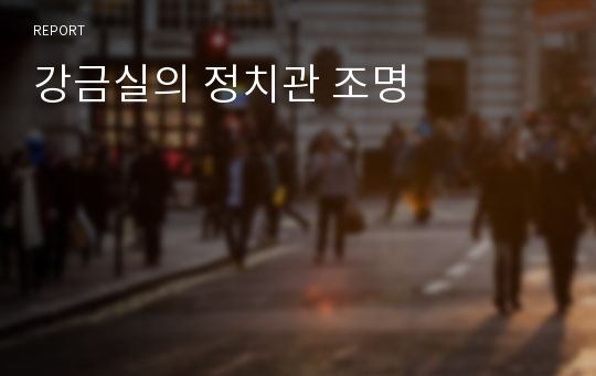 강금실의 정치관 조명