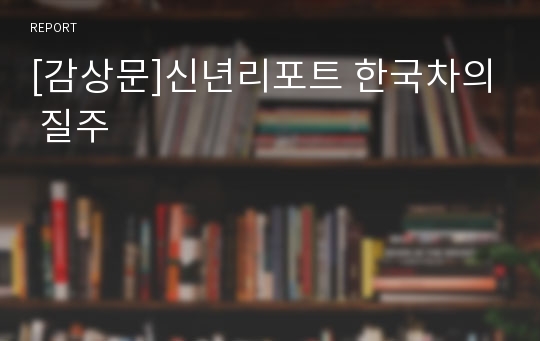 [감상문]신년리포트 한국차의 질주