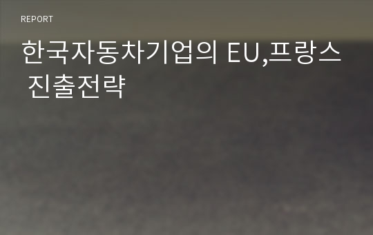 한국자동차기업의 EU,프랑스 진출전략