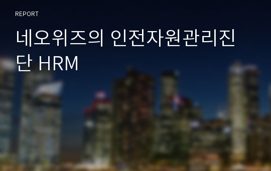 네오위즈의 인전자원관리진단 HRM