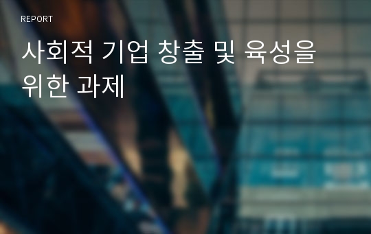 사회적 기업 창출 및 육성을 위한 과제