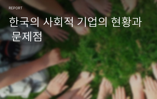 한국의 사회적 기업의 현황과 문제점