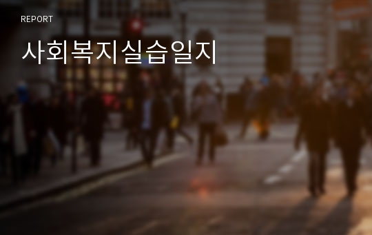 사회복지실습일지