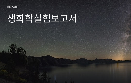 생화학실험보고서