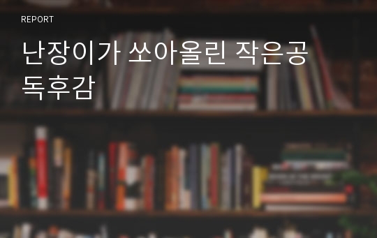 난장이가 쏘아올린 작은공  독후감