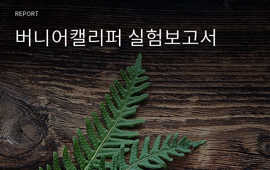 버니어캘리퍼 실험보고서