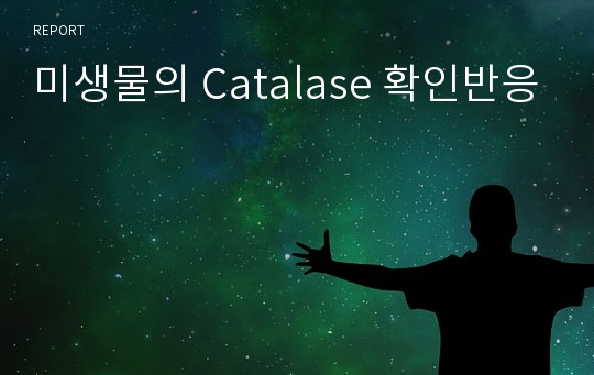 미생물의 Catalase 확인반응