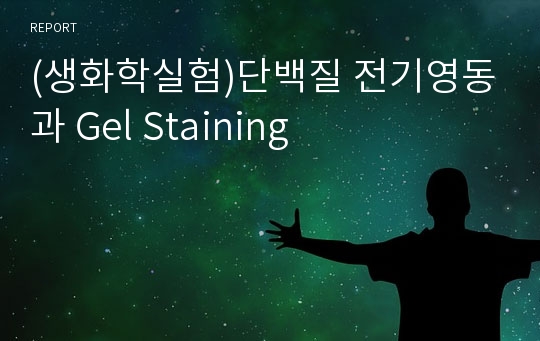 (생화학실험)단백질 전기영동과 Gel Staining