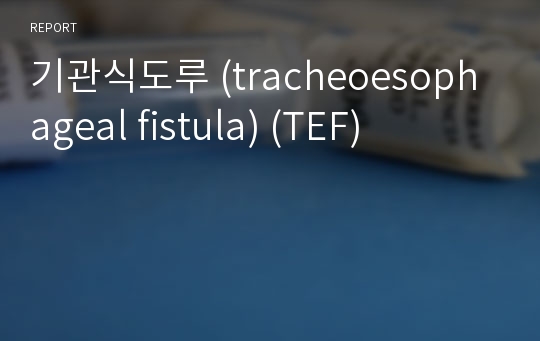 기관식도루 (tracheoesophageal fistula) (TEF)