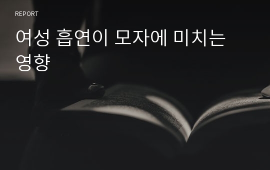 여성 흡연이 모자에 미치는 영향