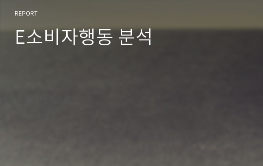 E소비자행동 분석