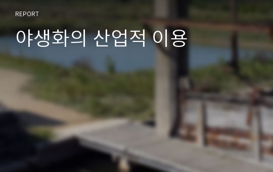 야생화의 산업적 이용