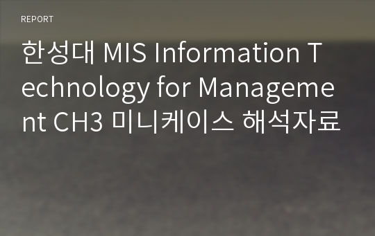 한성대 MIS Information Technology for Management CH3 미니케이스 해석자료