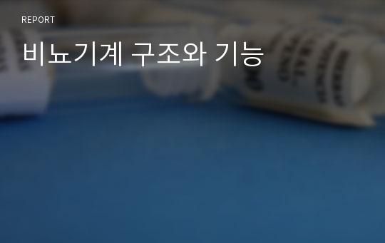 비뇨기계 구조와 기능