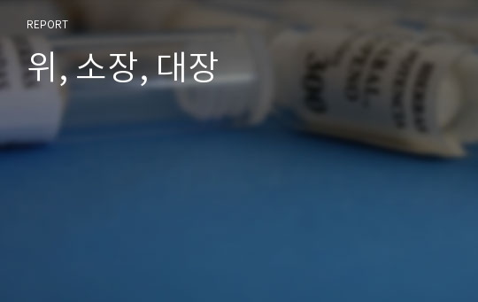 위, 소장, 대장