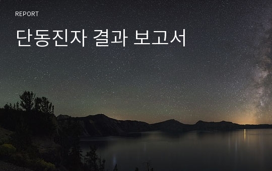 단동진자 결과 보고서