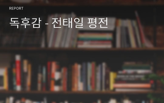 독후감 - 전태일 평전