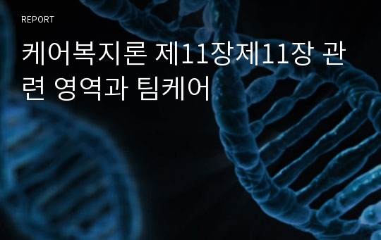 케어복지론 제11장제11장 관련 영역과 팀케어