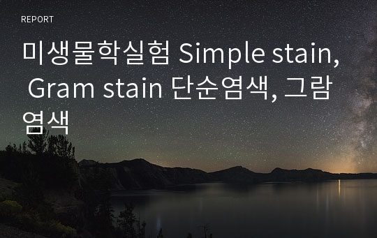 미생물학실험 Simple stain, Gram stain 단순염색, 그람염색