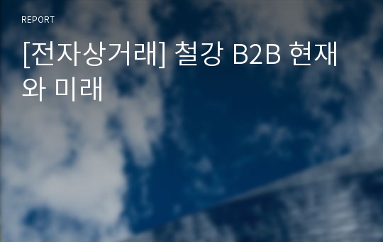 [전자상거래] 철강 B2B 현재와 미래