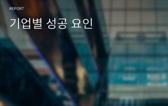 기업별 성공 요인