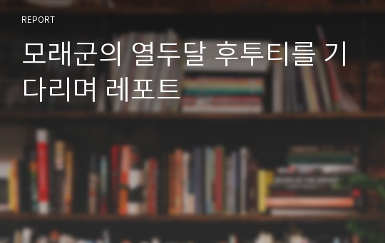 모래군의 열두달 후투티를 기다리며 레포트