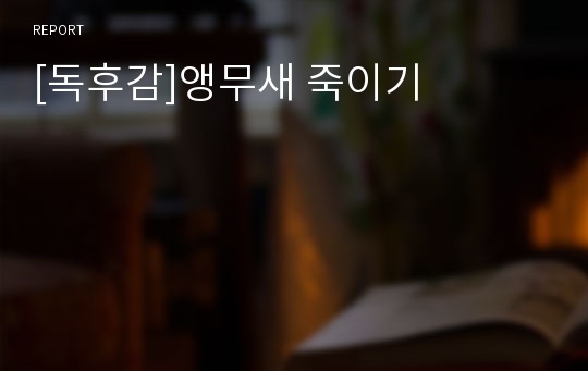 [독후감]앵무새 죽이기