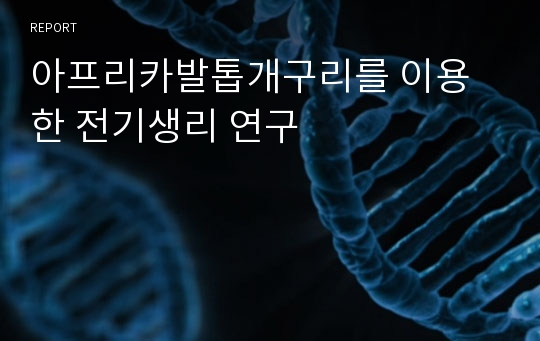 아프리카발톱개구리를 이용한 전기생리 연구