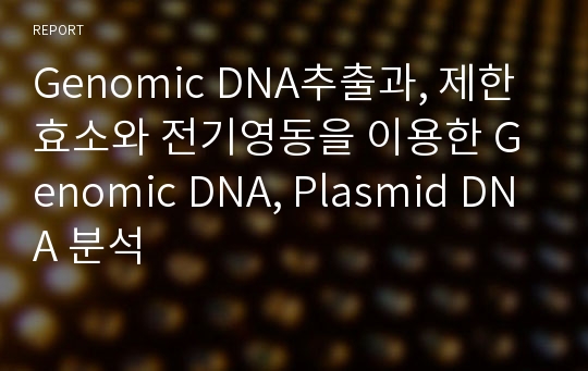 Genomic DNA추출과, 제한효소와 전기영동을 이용한 Genomic DNA, Plasmid DNA 분석