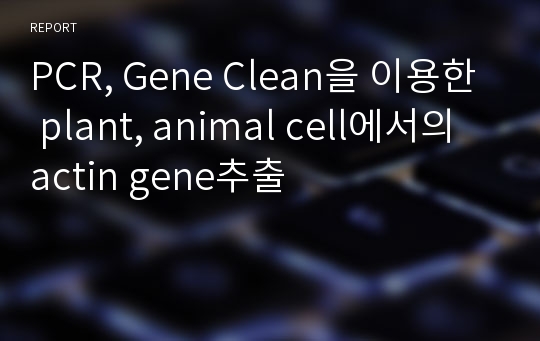 PCR, Gene Clean을 이용한 plant, animal cell에서의 actin gene추출