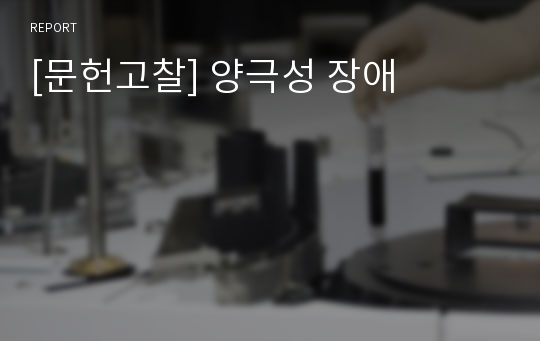 [문헌고찰] 양극성 장애