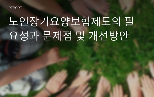 노인장기요양보험제도의 필요성과 문제점 및 개선방안