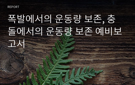 폭발에서의 운동량 보존, 충돌에서의 운동량 보존 예비보고서