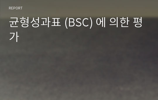 균형성과표 (BSC) 에 의한 평가