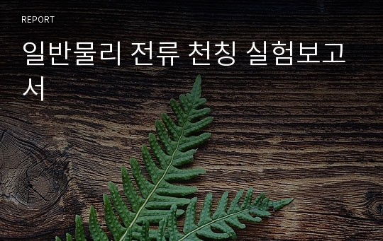 일반물리 전류 천칭 실험보고서