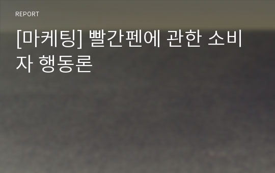 [마케팅] 빨간펜에 관한 소비자 행동론