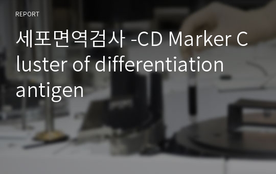 세포면역검사 -CD Marker Cluster of differentiation antigen