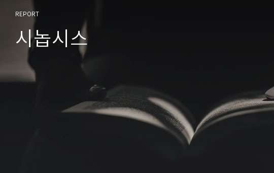 시놉시스