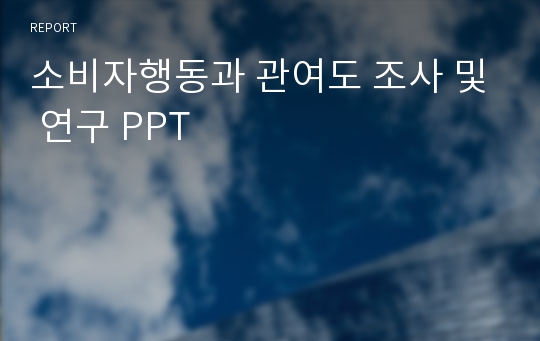 소비자행동과 관여도 조사 및 연구 PPT