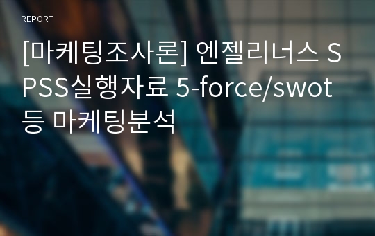 [마케팅조사론] 엔젤리너스 SPSS실행자료 5-force/swot등 마케팅분석