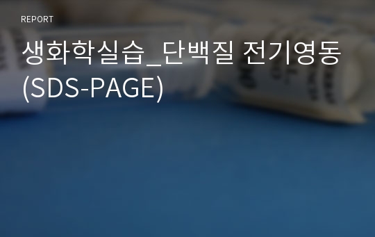 생화학실습_단백질 전기영동 (SDS-PAGE)