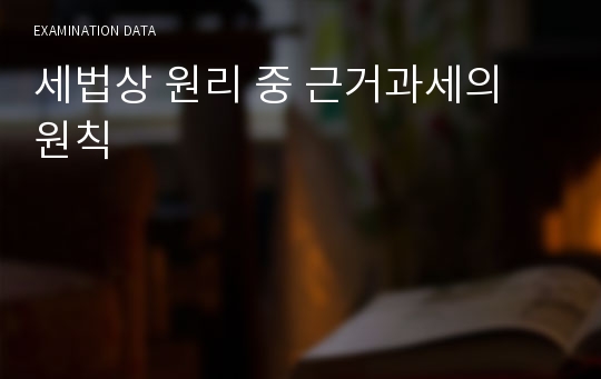 세법상 원리 중 근거과세의 원칙