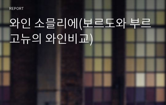 와인 소믈리에(보르도와 부르고뉴의 와인비교)