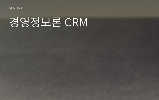 경영정보론 CRM