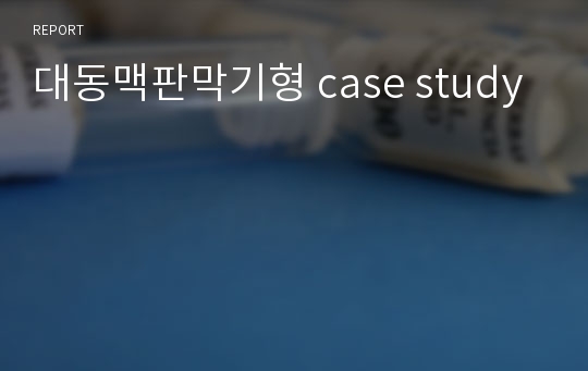 대동맥판막기형 case study