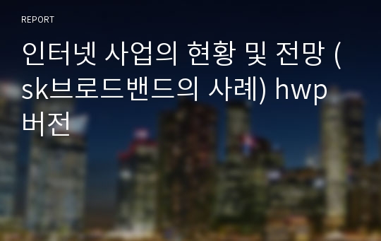 인터넷 사업의 현황 및 전망 (sk브로드밴드의 사례) hwp버전