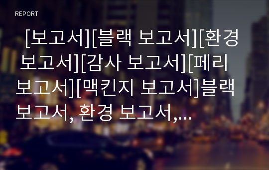   [보고서][블랙 보고서][환경 보고서][감사 보고서][페리 보고서][맥킨지 보고서]블랙 보고서, 환경 보고서, 감사 보고서, 페리 보고서, 맥킨지 보고서 분석